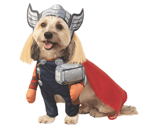 thor marvel gifts for geek dogs